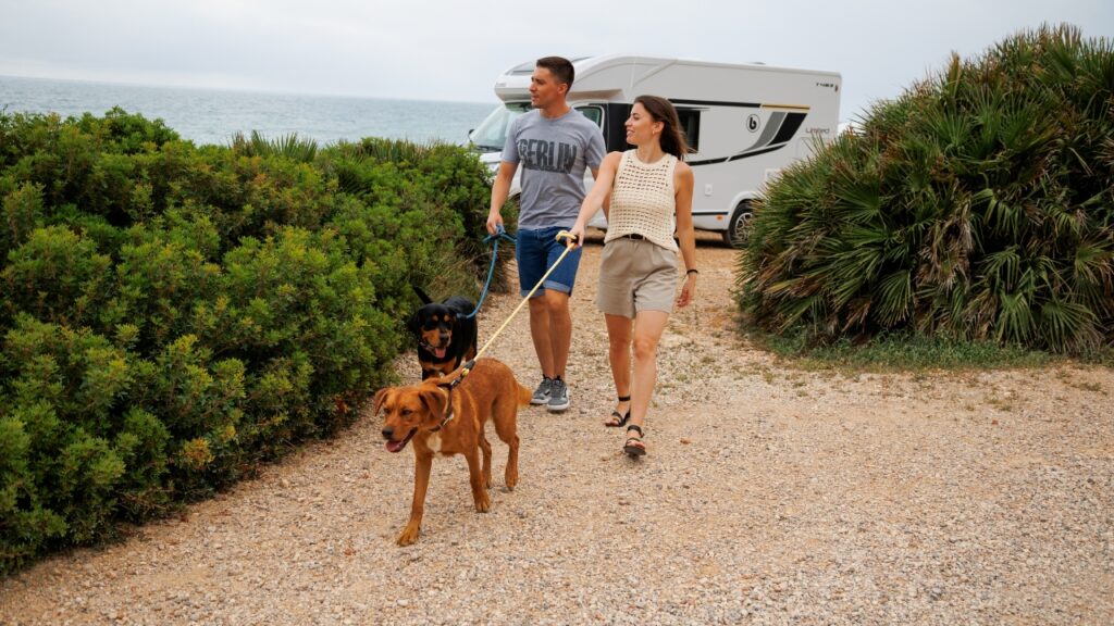 por que elegir una autocaravana benimar para viajar con tu mascota - Viajar con mascotas en autocaravana: guía completa por que elegir una autocaravana benimar para viajar con tu mascota