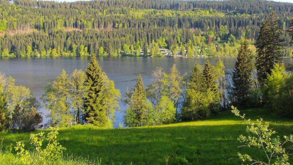 <strong>What to see in the Black Forest by motorhome?</strong>